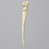 Canine Ulna with Three-Part Olecranon Fracture, Solid Foam