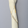 Canine Humerus, Foam Cortical, Small