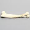 Canine Humerus with Distal Diaphyseal Butterfly Fracture, Foam Cortical