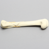 Canine Humerus with Distal Diaphyseal Butterfly Fracture, Foam Cortical