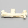 Canine Humerus with Multiple Fractures, Foam Cortical