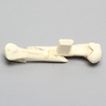 Canine Humerus with Multiple Fractures, Foam Cortical