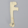 Canine Humerus with Fracture, Enlarged, Solid Foam