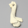 Canine Humerus with Fracture, Enlarged, Solid Foam