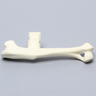 Canine Humerus, Foam Cortical, Large