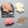 Cranial Access Model for Dura Repair