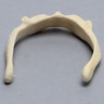 Hyoid Bone, Component of Palate/Tongue Complex