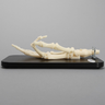 Orthopaedics in Action® Get a Grip Module