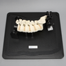 Lateral Lumbar Holder with Cover and Spine