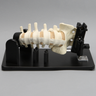 Lateral Lumbar Holder with Spine