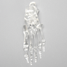 Foot, Solid Clear Plastic, Left