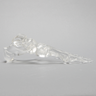 Foot, Solid Clear Plastic, Left