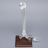 Foot and Ankle with Full Tibia and Fibula, Solid Clear Plastic