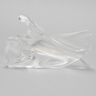 Scapula, Solid Clear Plastic