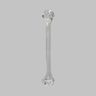 Humerus without Canal, Solid Clear Plastic