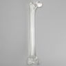 Femur without Canal, Solid Clear Plastic, Large