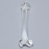Canine Femur, Solid Clear Plastic