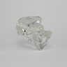 Pelvis, Full Male, Solid Clear Plastic