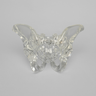 Pelvis, Full Male, Solid Clear Plastic