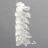 Spine C1-C7, Cervical, Solid Clear Plastic