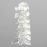 Spine C1-C7, Cervical, Solid Clear Plastic