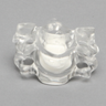 Cervical Vertebrae C5-C6, Solid Clear Plastic