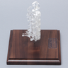 Spine C1-C7, Cervical, Solid Clear Plastic on Stand