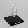 Spine C1-C7, Cervical, Solid Clear Plastic on Stand