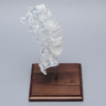 Spine with Clear Discs, Lumbar, Solid Clear Plastic