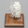 Lumbar Vertebrae L3 - L5, Solid Clear Plastic