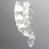 Lumbar Vertebrae L3-Sacrum with White Foam Discs, Solid Clear Plastic
