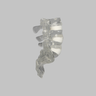 Lumbar Vertebrae L3-Sacrum with White Foam Discs, Solid Clear Plastic