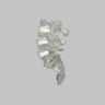 Lumbar Vertebrae L3-Sacrum with White Foam Discs, Solid Clear Plastic