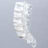 Spine with Ligaments, Lumbar, Solid Clear Plastic