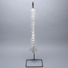 Spine with Sacrum, Full