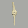 Converge™ Large Knee Joint with Non-Stretch Ligaments