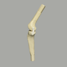 Converge™ Large Knee Joint with Stretch Ligaments