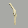 Converge™ Large Knee Joint with Stretch Ligaments