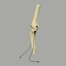 Converge™ Medium Knee Joint with Adjustable Ligaments