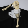 Express Knee Holder