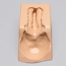 Spine Holder, Anterior Occipital-C7
