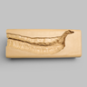 Spine Holder, Lateral T8-Sacrum