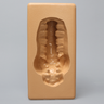 Spine Holder - L1 to Sacrum