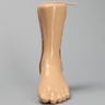 Encased Foot and Ankle with Achilles Ligament