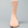 Foot and Ankle with Talar Fracture, Encased