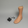 Foot and Ankle Injection Trainer