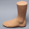 Foot and Ankle, Distal, Encased
