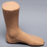 Foot and Ankle, Distal, Encased