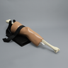 ALICE Knee Simulator with Base