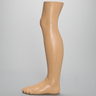 Partial Leg, with Foot and Ankle, Encased